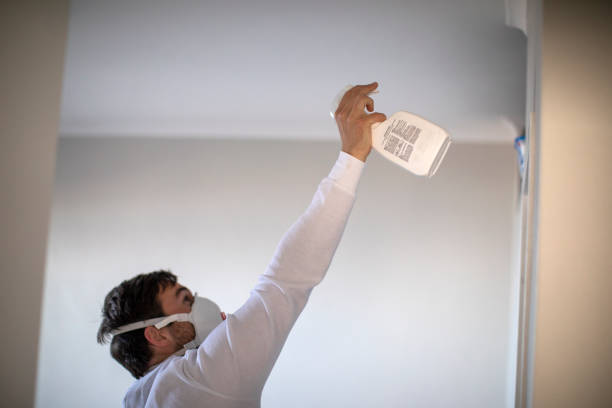 Best White Mold Remediation in Canton, MO