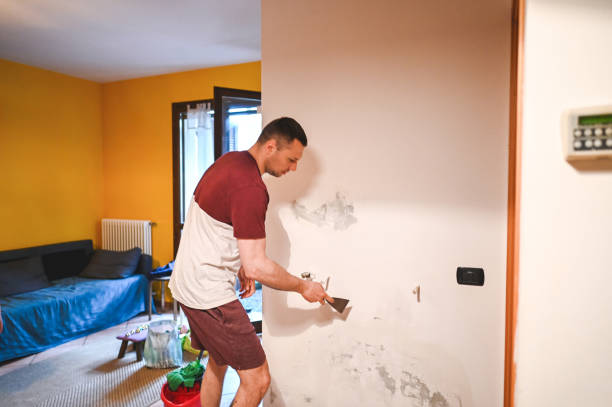 Canton, MO Mold Remediation Company